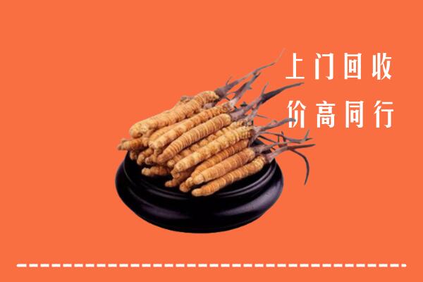 高价求购：菏泽牡丹区回收散虫草
