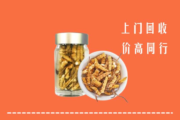 菏泽牡丹区回收冬虫夏草
