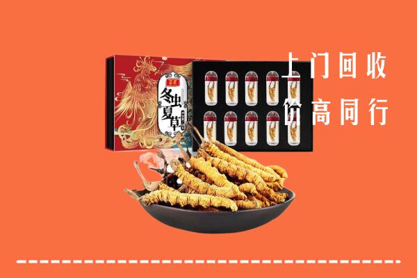 菏泽牡丹区回收虫草